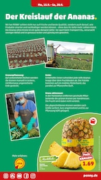 Ananas Angebot im aktuellen Penny Prospekt auf Seite 5