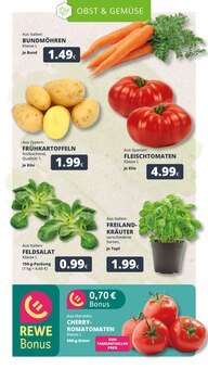 Kartoffeln im REWE Prospekt "Dein Markt" mit 23 Seiten (Köln)