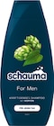 Shampoo oder Spülung bei Rossmann im Deggendorf Prospekt für 1,19 €