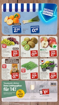 Pflanzen im nahkauf Prospekt "nichts liegt näher" mit 8 Seiten (Heidelberg)