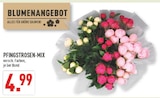 Marktkauf Delbrück - Pfingstrosen-Mix Angebot im Prospekt Pfingstrosen-Mix bei Marktkauf im Delbrück Prospekt für 4,99 €