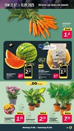 Wassermelone Angebote im Prospekt "Günstig. Besser. Für Dich." von Netto mit dem Scottie Wassermelone Angebote im Prospekt "Günstig. Besser. Für Dich." von Netto mit dem Scottie auf Seite 3