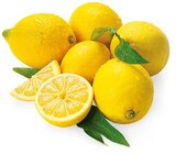 Aktuelle Zitronen Angebote bei REWE in Nürnberg Aktuelles Zitronen Angebot bei REWE in Nürnberg ab 1,19 €