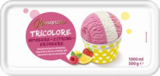 Eis im Netto Marken-Discount Prospekt Tricolore Eis von Romana im aktuellen Netto Marken-Discount Prospekt für 2,49 €