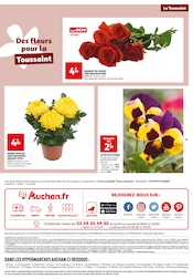 Chrysanthèmes Angebote im Prospekt "MES 25 JOURS Auchan" von Auchan Hypermarché auf Seite 35