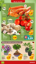 Gemüsepflanzen Angebot im aktuellen Penny-Markt Prospekt auf Seite 3