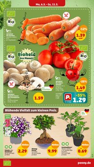 Tomaten im Penny-Markt Prospekt "Wer günstig will, muss Penny." mit 36 Seiten (Aachen)