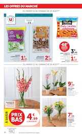Prospectus Hyper U "-50% DE REMISE IMMÉDIATE SUR LE 2ÈME PRODUIT AU CHOIX" en cours à Saintes, Page 26 Catalogue Hyper U en cours à Saintes, "-50% DE REMISE IMMÉDIATE SUR LE 2ÈME PRODUIT AU CHOIX", Page 26