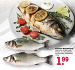 Aktuelle Fisch Angebote bei E center in Mainz Aktuelles Frischer Wolfsbarsch Angebot bei E center in Mainz ab 1,99 €