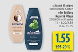 Aktuelles schauma Shampoo Repair & Pflege Angebot bei diska in Dresden ab 1,55 €