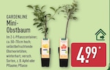 Mini-Obstbaum Angebote von Gardenline bei ALDI Nord Hannover für 4,99 €