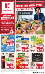 Kaufland Prospekt für Negernbötel: "Aktuelle Angebote", 52 Seiten, 11.04.2024 - 17.04.2024