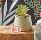 Plante ceramique atmosphera en promo chez Intermarché Super Limoges à 3,99 €