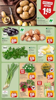 Gartenerde im REWE Prospekt "Dein Markt" mit 32 Seiten (Pforzheim)