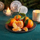 Carrefour Market Notre Dame - Promo Clémentine feuille Promo Clémentine feuille à 2,49 € dans le catalogue Carrefour Market à Notre Dame