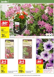 Géranium en promo dans le catalogue Carrefour à la page 57