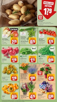 Rucola im REWE Prospekt "Dein Markt" mit 30 Seiten (Düsseldorf)