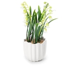 Kunstpflanze bei Tchibo im Gladbeck Prospekt für 6,99 €