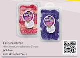 Essbare Blüten bei METRO im Prospekt "" für 