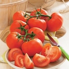 U Express Morlaàs - Promo Tomate ronde en grappe Promo Tomate ronde en grappe à 1,69 € dans le catalogue U Express à Morlaàs