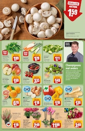 Ähnliche Angebote wie Tomatenpflanze im Prospekt "Dein Markt" auf Seite 13 von REWE in Nürnberg
