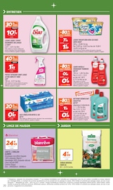 Promos Action dans le catalogue "L'ANNIVERSAIRE, ÇA SE FÊTE !" de Netto à la page 20