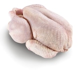 Aktuelles Bio Hähnchen Angebot bei METRO in Duisburg ab 11,22 €