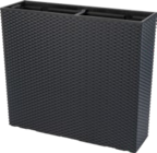 Raumteiler-Pflanzkasten im aktuellen Kaufland Prospekt