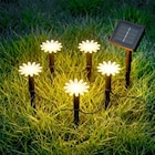 Solar-Lichterkette „Gänseblümchen“ im aktuellen Thomas Philipps Prospekt