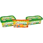 SUR TOUT - PRIMEVÈRE dans le catalogue Carrefour Market