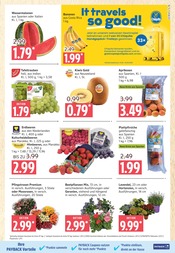 Aktueller Marktkauf Prospekt mit Fleisch, "Top Angebote", Seite 5
