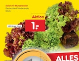 Salat mit Wurzelballen Angebote bei Netto Marken-Discount Paderborn für 1,00 €