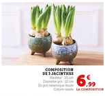 Composition de 3 jacinthes - Super U à Calais Composition de 3 jacinthes en promo chez Super U Calais à 6,99 €