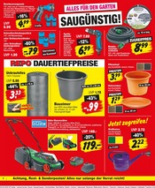 Blumentopf im Repo Prospekt in Cottbus Aktueller Repo Prospekt mit Blumentopf, "Aktuelle Angebote", Seite 4
