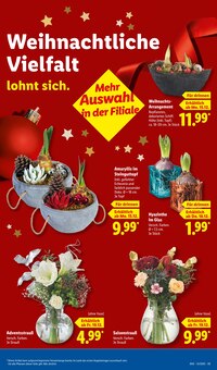 Pflanzen im aktuellen Lidl Prospekt (Paderborn) Pflanzen im Lidl Prospekt "LIDL LOHNT SICH" mit 73 Seiten (Paderborn)