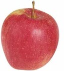 Evelina im Angebot bei Marktkauf in Hanau Evelina Angebote von Unsere Heimat bei Marktkauf Hanau für 1,99 €