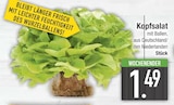 Kopfsalat im EDEKA Prospekt Kopfsalat von im aktuellen EDEKA Prospekt für 1,49 €