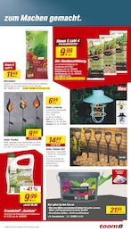 Laterne Angebot & Preis im aktuellen toom Baumarkt Prospekt Laterne Angebot im aktuellen toom Baumarkt Prospekt auf Seite 5