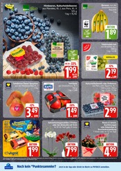 Pflanzen im EDEKA Prospekt in Wismar Aktueller EDEKA Prospekt mit Pflanzen, "Top Angebote", Seite 10