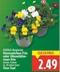 Hornveilchen-Trio von EDEKA Regional im aktuellen E center Prospekt