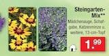Steingarten-Mix im Angebot bei Zimmermann in Bremerhaven Steingarten-Mix Angebote bei Zimmermann Bremerhaven für 1,99 €