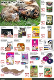 Aktueller GLOBUS Prospekt mit Wild, "Aktuelle Angebote", Seite 20