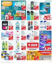 Garnier Angebot im Kaufland Prospekt, gültig von 28.08.2025 bis 03.09.2025 Garnier Angebot im aktuellen Kaufland Prospekt auf Seite 17