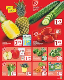 Primel Angebot & Preis im aktuellen EDEKA Prospekt Primel Angebot im aktuellen EDEKA Prospekt auf Seite 5