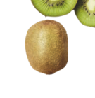 Kiwis en promo chez Aldi Kiwis dans le catalogue Aldi