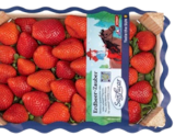 Kaufland Bautzen - Span. Erdbeeren Kl. I Angebot im Prospekt Span. Erdbeeren Kl. I bei Kaufland im Bautzen Prospekt für 6,99 €