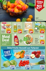 Tierfutter im REWE Prospekt in Brandenburg Aktueller REWE Prospekt mit Tierfutter, "Dein Markt", Seite 6