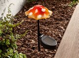 Lampe solaire décorative - LIVARNO home dans le catalogue Lidl