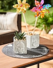 Rund um Balkon und Garten Angebote bei REWE Wermelskirchen für 2,00 €