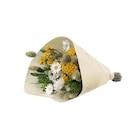 NATURALYS-Bouquet de fleurs séchées Lovely coloris vert jaune - H 50 cm - Botanic NATURALYS-Bouquet de fleurs séchées Lovely coloris vert jaune - H 50 cm à 15,99 € dans le catalogue Botanic